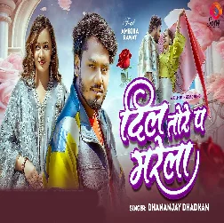 Dil Tore Pa Marela (Dhananjay Dhadkan)