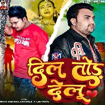 Dil Tod Delu