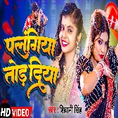 Maai Tor Dularua Damad Palangiya Tod Diya Hai