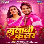 Gulabi Color (Dhananjay Dhadkan)